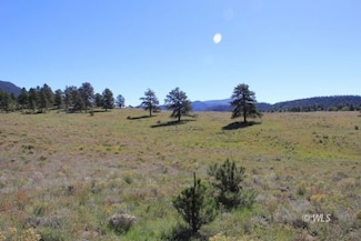 Tract 5 Patriot Cir, Westcliffe, CO 81252