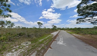 217 Warrior St NW, Placid Lakes, FL 33852