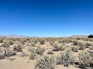 246 Finch, Smith, NV 89430