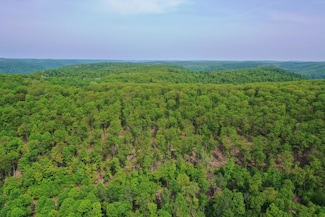 000 Old Township Rd, Hebron Township, PA 16915