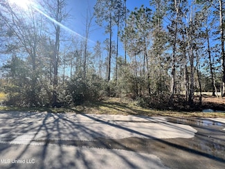 12477 Fishermans Trail, Gulfport, MS 39503