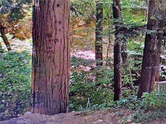 0 Fleming Creek Rd Unit EV23150559, Lake Arrowhead, CA 92352