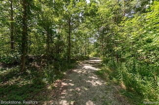 VL Sashabaw Rd, Brandon Township, MI 48462