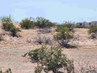 1724 N Estrella, Dateland, AZ 85333