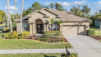 27239 Firebush Dr, Wesley Chapel, FL 33544