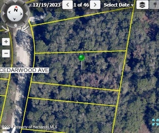 LOT 15 Cedarwood Ave, Weeki Wachee, FL 34614