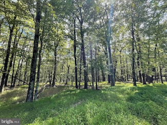 117 Spring Mountain Dr, North Union Township, PA 17985