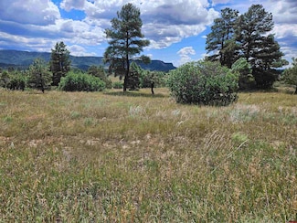 266 Prospect Blvd, Pagosa Springs, CO 81147