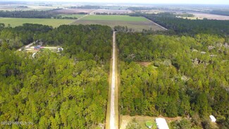 10115 Delgado Ave, Hastings, FL 32145