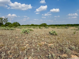 TBD LOT 61 County Road 1647, Moore, TX 78057