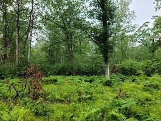 TBD N White Swan Lake Rd, Bigfork, MN 56628