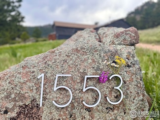 1553 Rowell Dr, Lyons, CO 80540