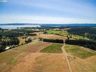 0 Lawrence Rd Unit 20296980, Junction City, OR 97448