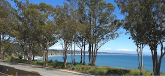 815 Balboa Ave Unit 206, Capitola, CA 95010