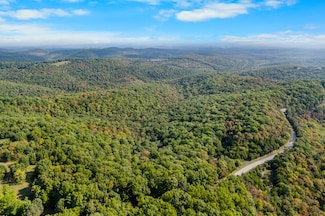 000 Pine Top Rd, Hollister, MO 65672