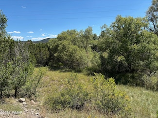 0 10th St, Eagar, AZ 85925