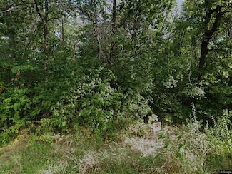 13388 W Hart St, Wadsworth, IL 60083