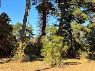 244A3 Ridge Rd Unit 244A3, Chincoteague, VA 23336