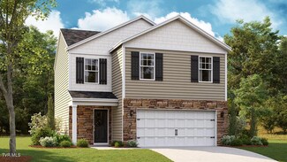1141 Twelve Oaks Ct, Kingsport, TN 37617