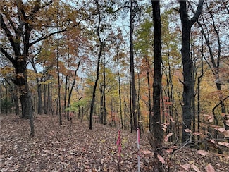 355 Orieole Ct, Ranger, GA 30705