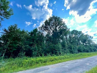 0 0 Ernie Cole Rd, Ragley, LA 70657