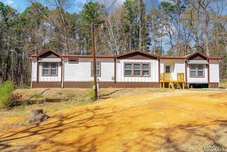 10027 Wooded Way, Whitehouse, TX 75791