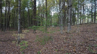 0 Mc Caw Rd Unit S1569093, Redfield, NY 13437