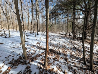 0 Markle Hollow Rd, South Corning, NY 14830