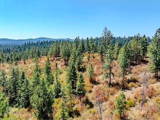 0 Starview Lane Parcel 2, Princeton, ID 83857
