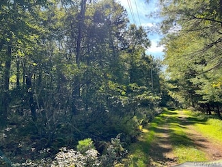 Lot 3.8 Proctor Rd, Glen Spey, NY 12737