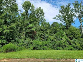 lot 23 Woodhaven Dr, Pell City, AL 35128