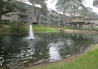 397 Imperial Way Unit 205, Daly City, CA 94015