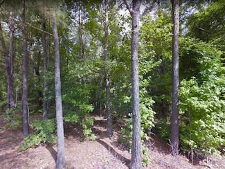 0 Alabama Hwy Unit 529731, Tallassee, AL 36078