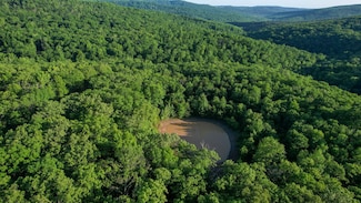 0001 Chimney Field Rd, Winslow, AR 72959