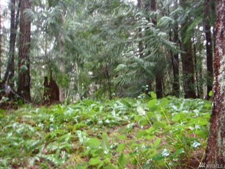 1371 N Dow Ridge Rd, Hoodsport, WA 98548