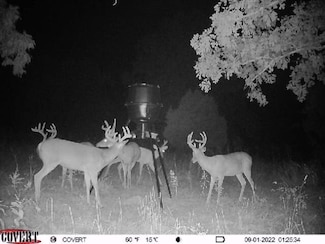 0 County Road 804, Glenallen, MO 63751