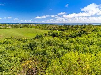 0 Huluia Rd Unit 715604, Kapa?a, HI 96746