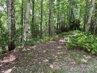 57 Big Branch Rd, Brevard, NC 28712