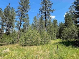 620 N A St Unit Lot 1, Springdale, WA 99173