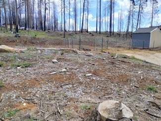 7003 Tyler Dr, Grizzly Flats, CA 95636