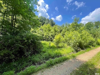 5 River Rock Rd, Murphysboro Township, IL 62966