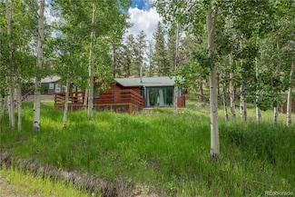 575 N Pine Dr, Bailey, CO 80421