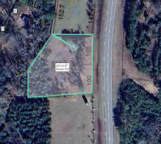 0 Alabama 95 Unit 202545, Abbeville, AL 36310