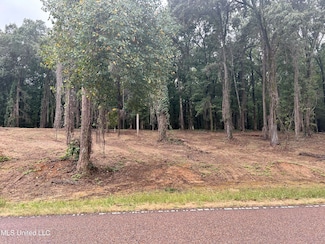 6 Fogg Rd S, Nesbit, MS 38651