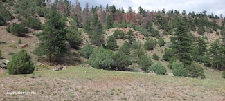TBD Colorado 149, South Fork, CO 81154