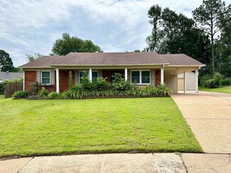 4564 Wildflower Cove, Memphis, TN 38109