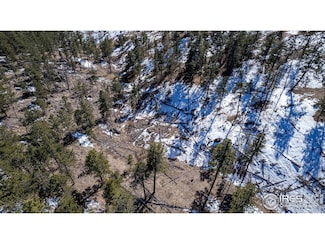 0 Tbd Stratton Park Rd Lot 3, Bellvue, CO 80512