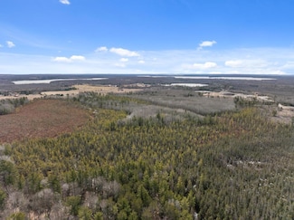 0 E Levering Rd Unit 476324, Levering, MI 49755