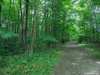 1187 Ohargan Rd, Greenwood, NY 14839