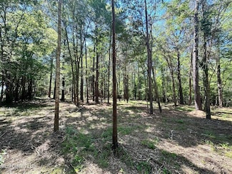 0 Robinson Rd Unit 2 11486547, Canton, MS 39046